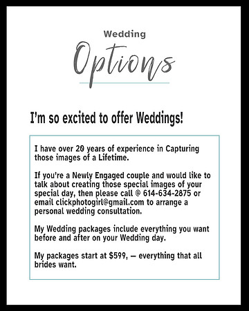 Web Page- Other Services Page (Wedding)