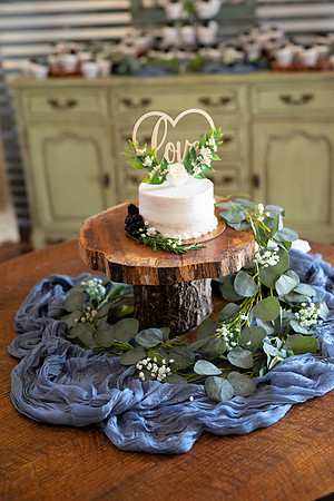 Myles &  Erin-238